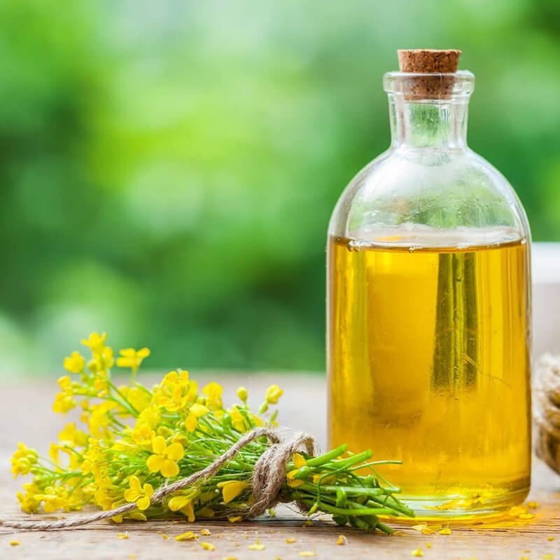 Canola Oil
