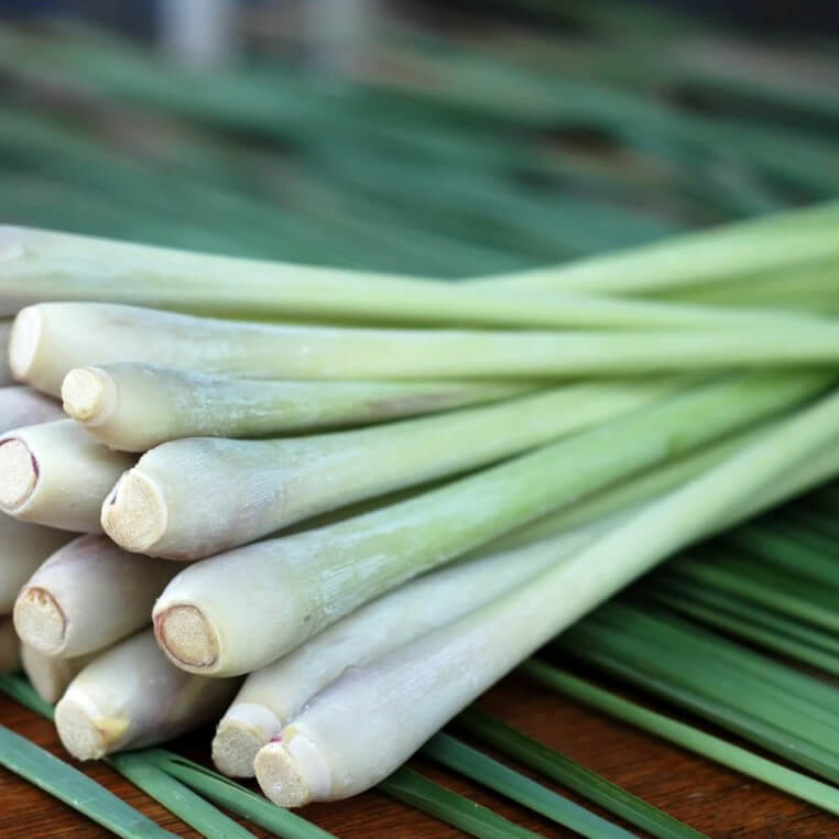 Lemongrass