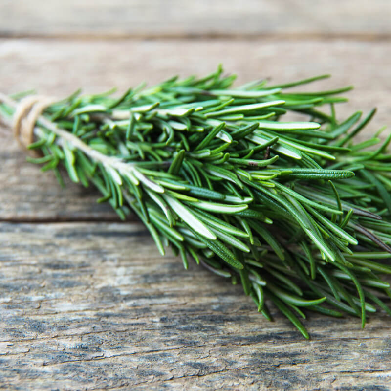 Rosemary