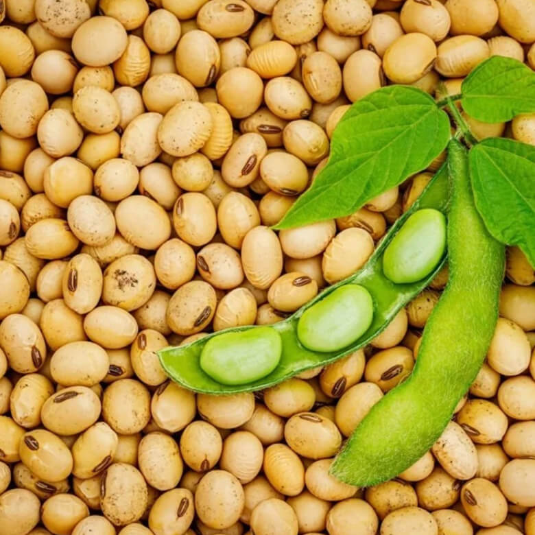 Soybeans
